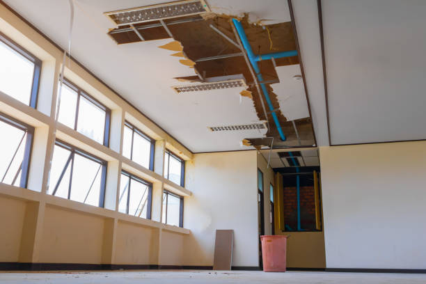 Best Water damage cleanup near me  in Nashua, IA