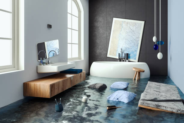 Best Mold removal after water damage  in Nashua, IA