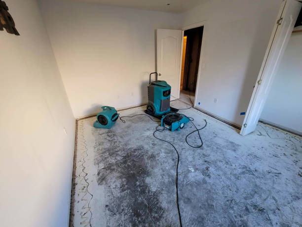 Best Water damage restoration near me  in Nashua, IA