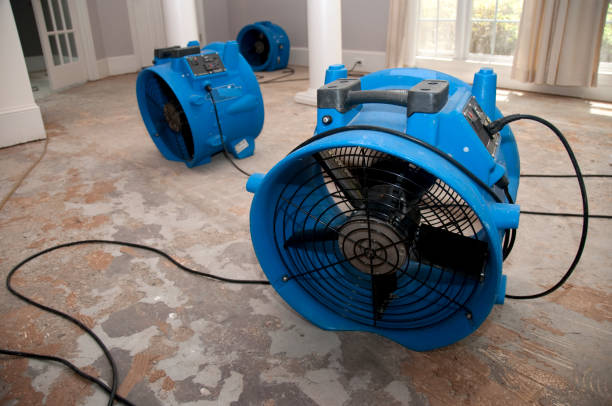 Best Flood damage cleanup  in Nashua, IA
