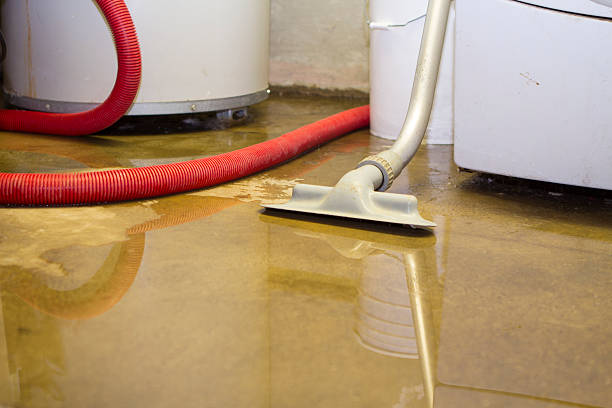 Best Residential water damage restoration  in Nashua, IA