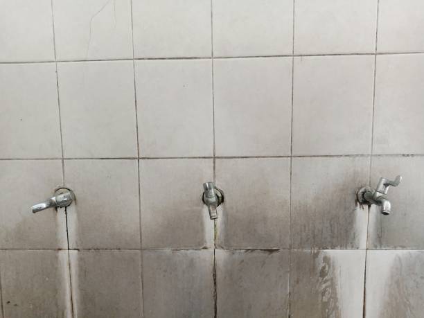 Best Carpet water damage restoration  in Nashua, IA
