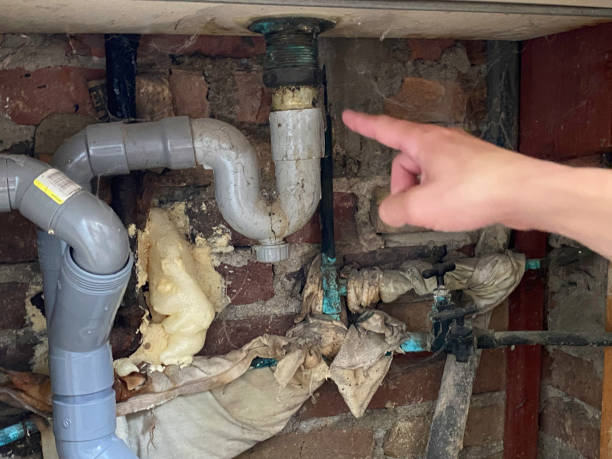 Best Fire Damage Restoration  in Nashua, IA