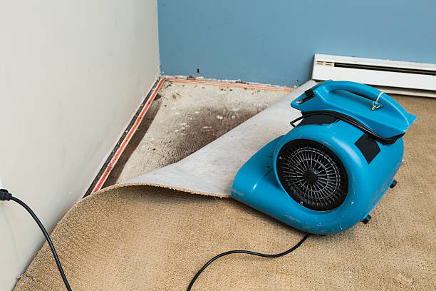 Best Commercial water damage restoration  in Nashua, IA